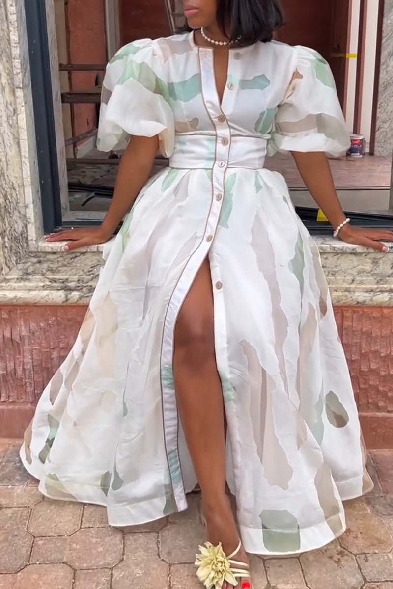 Women's Elegant Print Puff Sleeve Waist-Defined Dress
