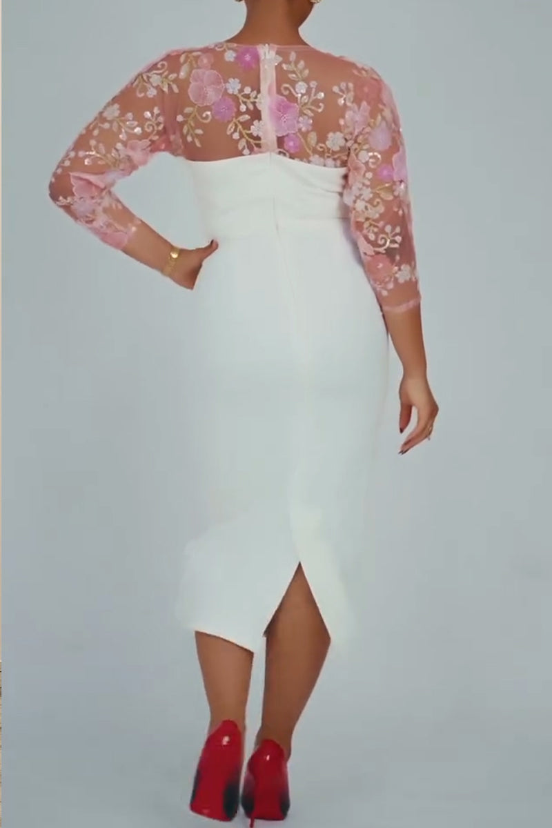 Women's Elegant Floral Lace Panel Dress