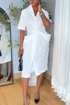 Women Collar and Waist Cinching Elegant Temperament Solid Color Dress