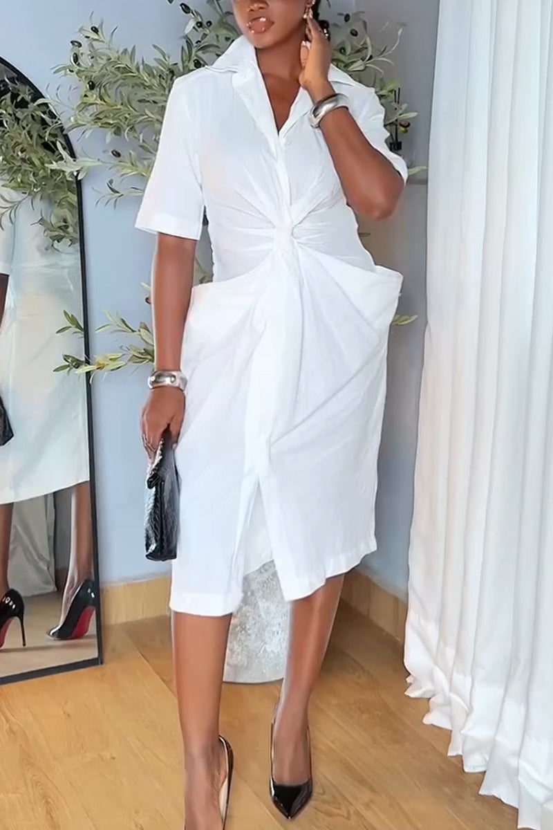 Women Collar and Waist Cinching Elegant Temperament Solid Color Dress